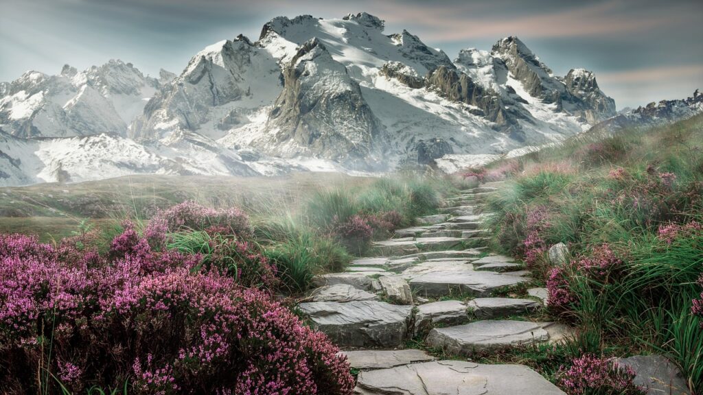 Image de chemin en pierre bordé de fleurs et de buissons avec des mont enneigés en arrière plan