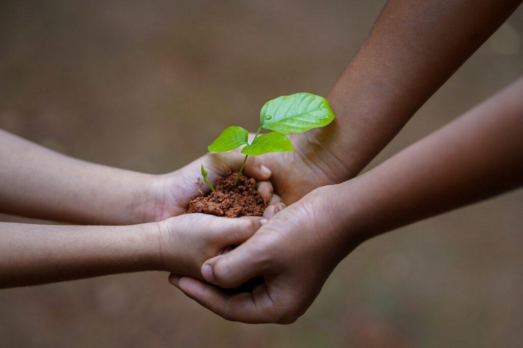 Photo de deux mains d'adultes soutenant deux mains d'enfant contenant un peu de terre et une jeune pousse pour illustrer le soutien, l'accompagnement et la naissance de la confiance