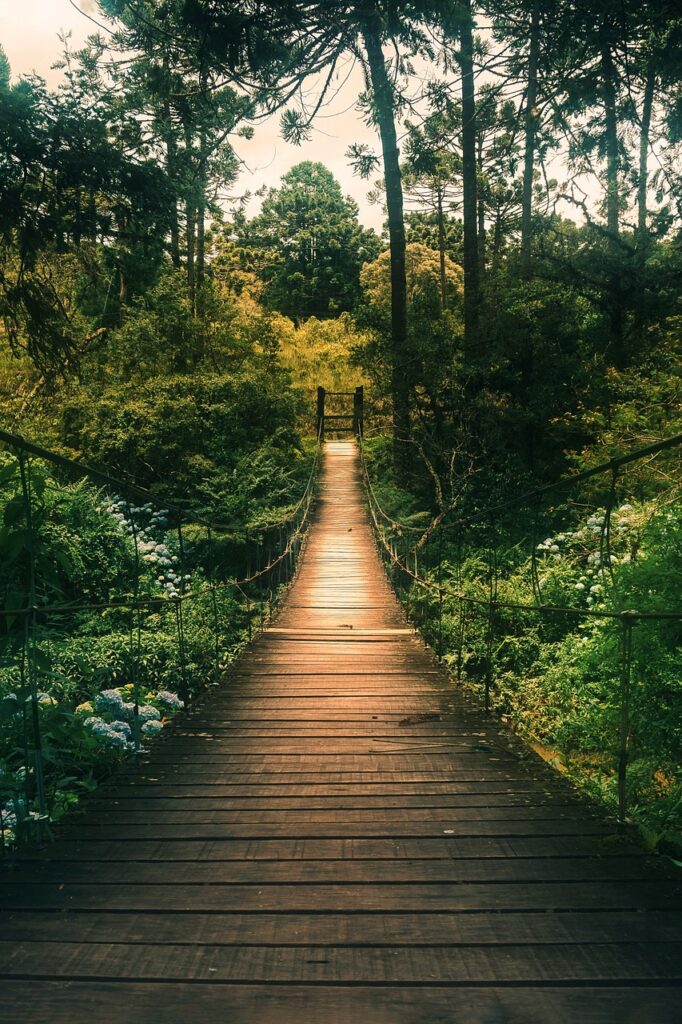 Photo d'un pont suspendu dans la jungle avec la lumière du soleil qui illumine le bout du pont