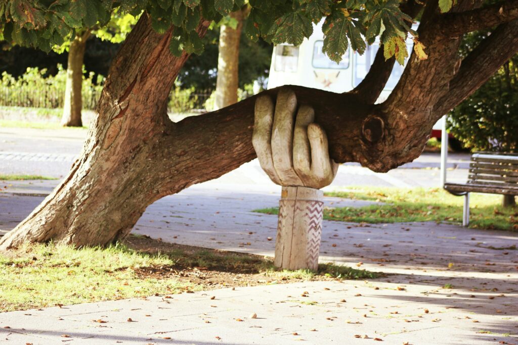 Photo d'un arbre sculpté en forme de main qui donne l'aire de soutenir un arbre très penché.