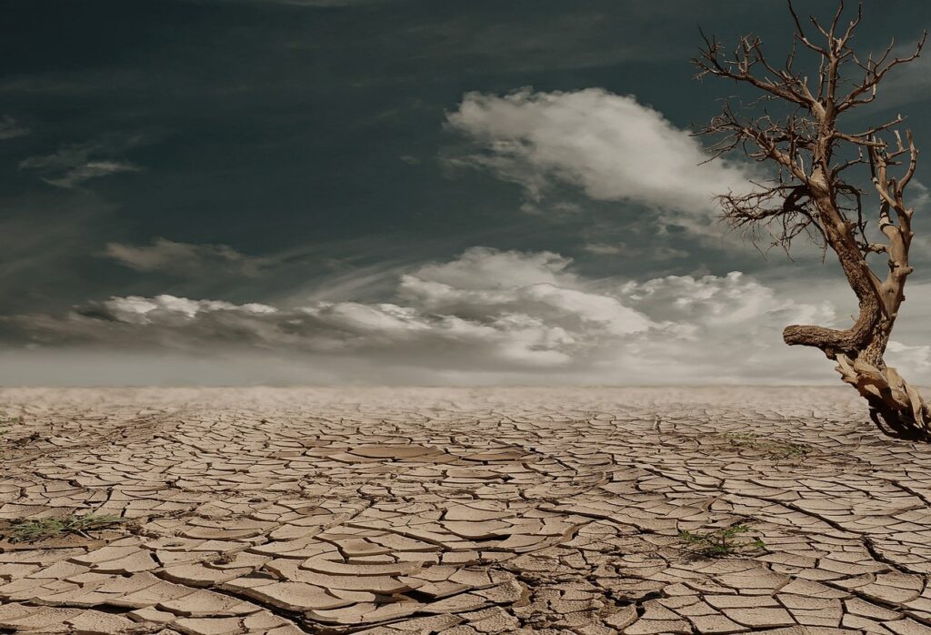 photo d'un arbre mort dans le désert, le sol est tellement sec qu'il est craquelé, le ciel est sombre avec quelques nuages pour illustrer les conséquences à long terme de la sclérose en plaque