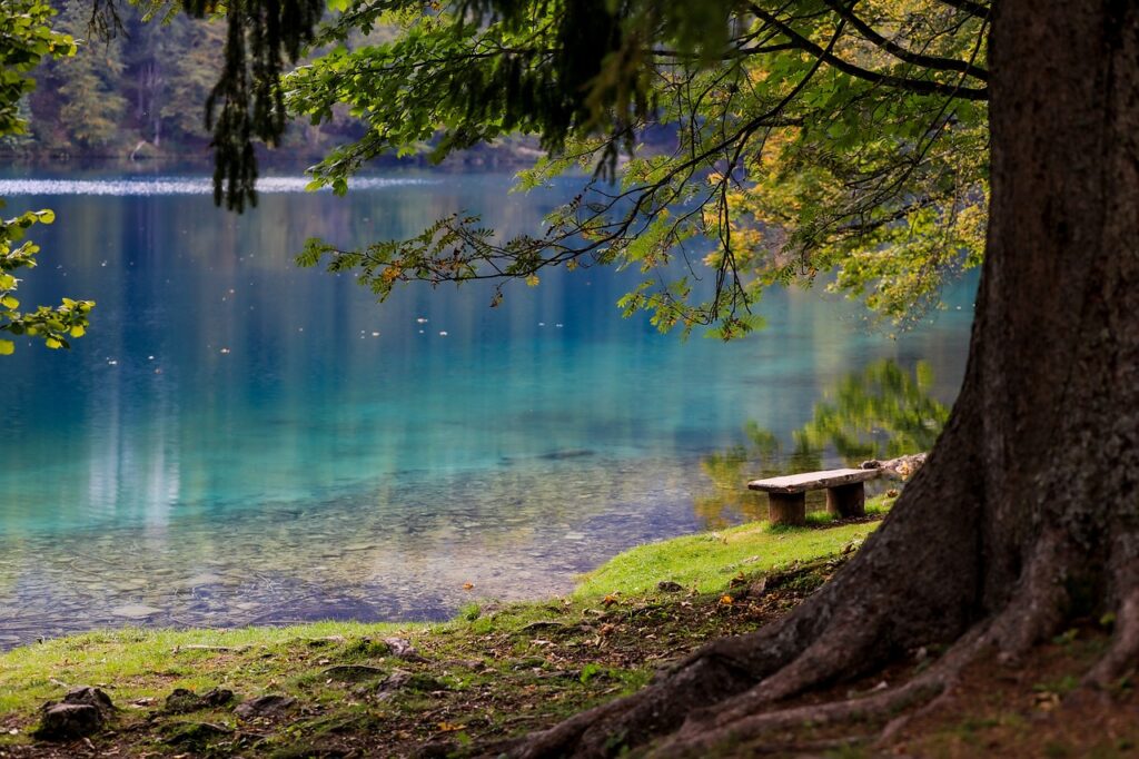 photo d'un banc au pied d'un arbre verdoyant sur les bord d'un lac à l'eau claire et sans ride pour illustrer l'apaisement et la sérénité que peuvent apporter la sophrologie dans un accompagnement de personnes atteinte de sclérose en plaque ou leur entourage