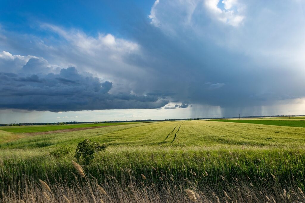 Photo d'un champ avec un ciel nuageux avec au loin la pluie pour illustrer l'imprévisibilité des poussées de SEP et l'inquiétude qui en résulte